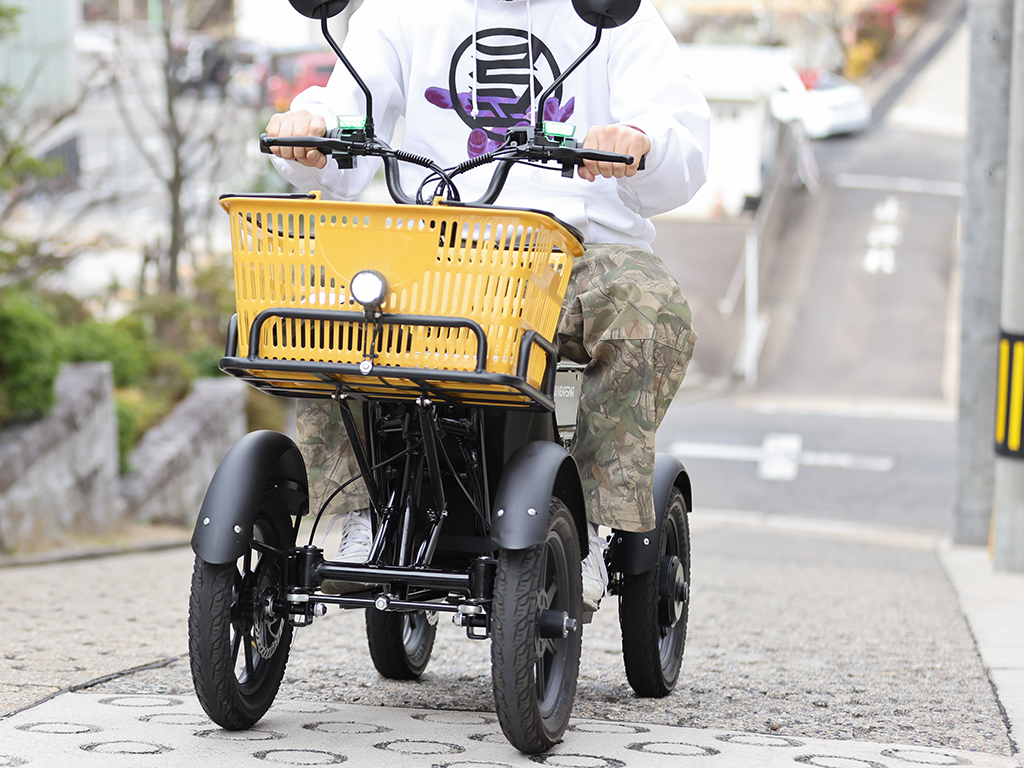 LBIRD オプション全体