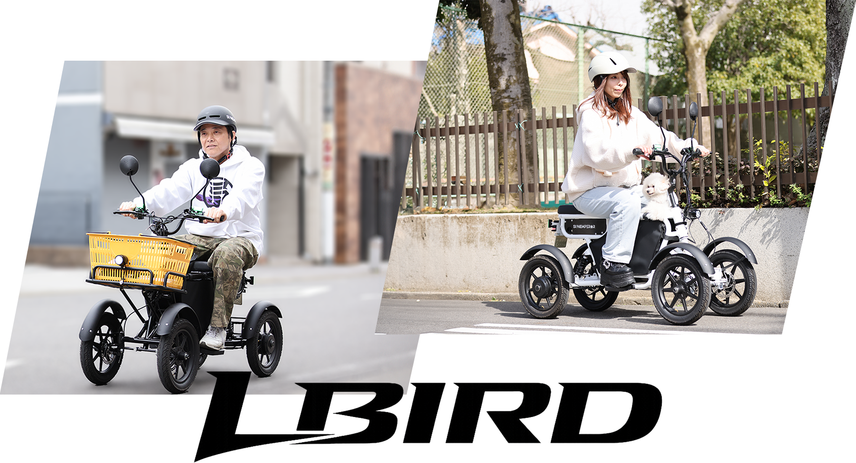 LBIRD 四輪電動モビリティ