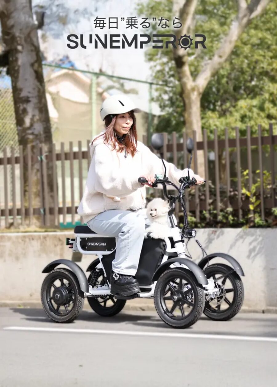 LBIRD 四輪電動モビリティ