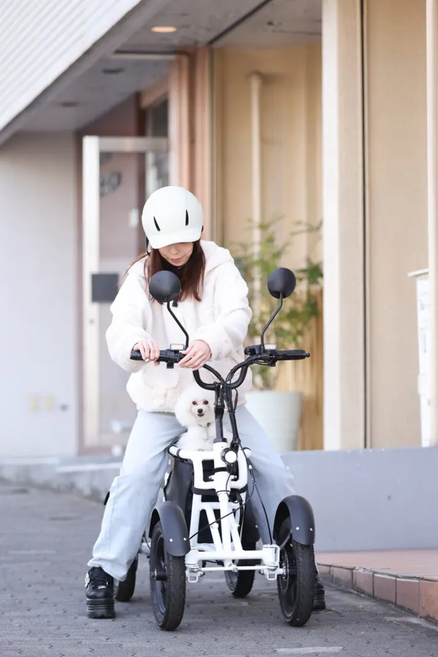 愛犬と一緒にLBIRD