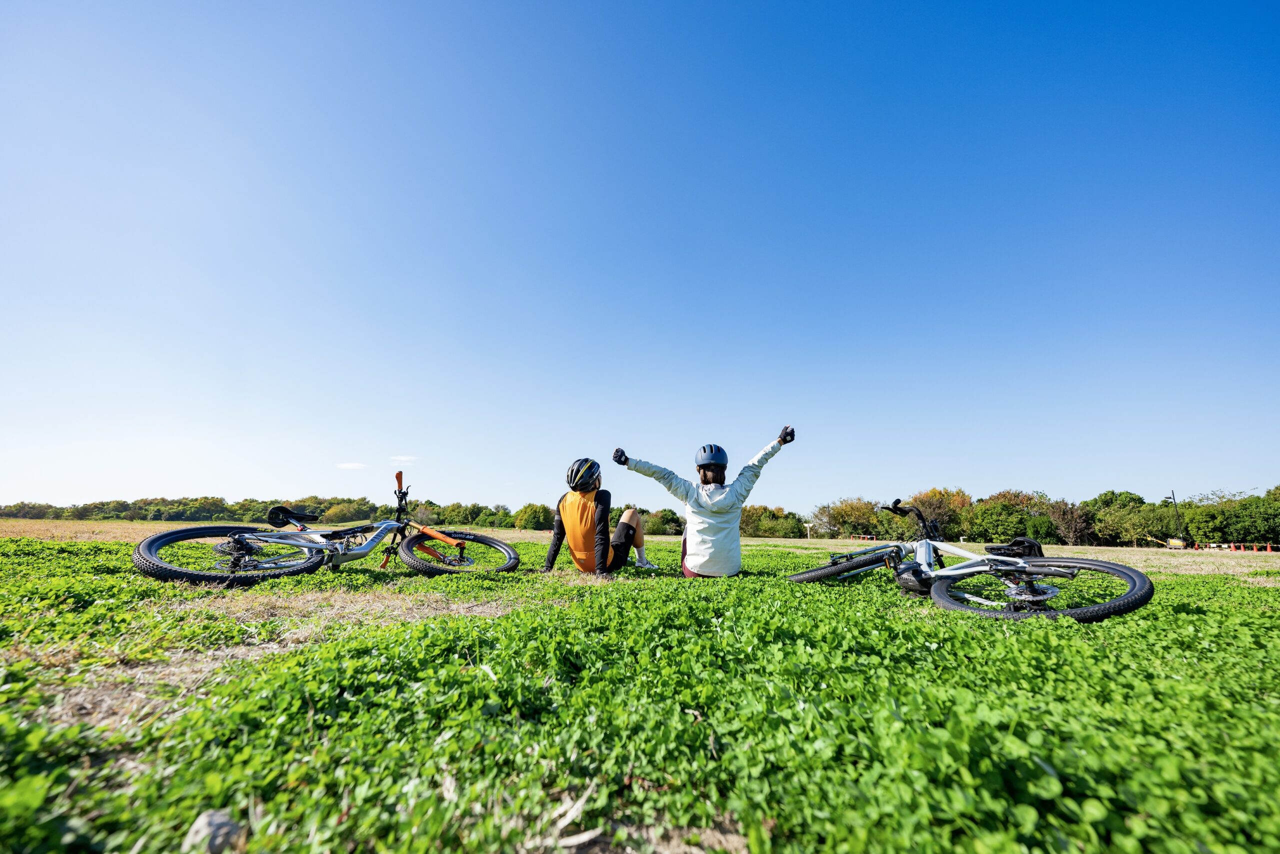 海の森アイランド会場 イメージ